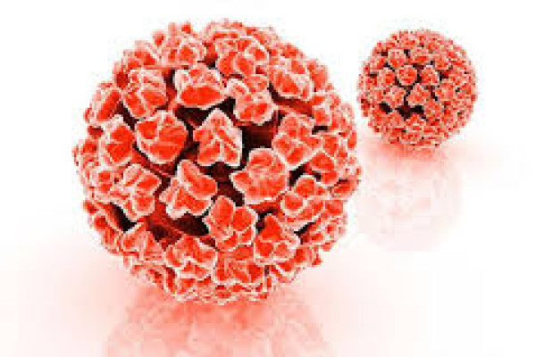 HPV Enfeksiyonu (Genital Siğil) Nedir? Nasıl Bulaşır, Belirtileri ve Tedavi Yöntemleri Nelerdir?