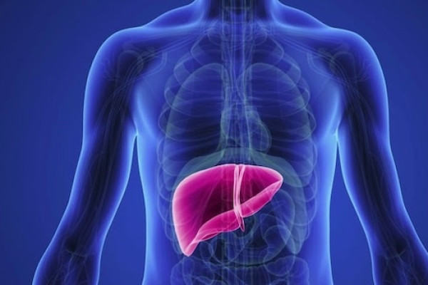 Karaciğer Enzimleri Neden Yükselir? Belirtileri Nelerdir?