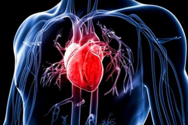 Kalp Yetersizliği Belirtilerini Dikkate Alın, Kalp Yetersizliğinin Tedavisi Mümkün