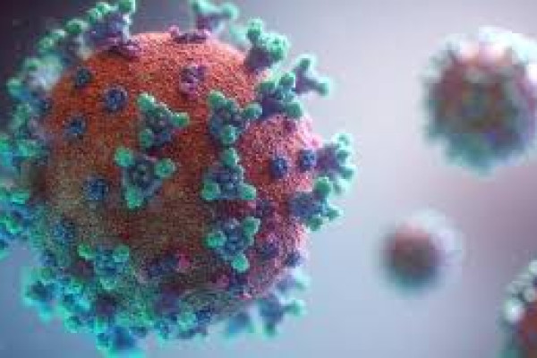Koronavirüs (Covid-19) Nedir? Coronavirus Belirtileri ve Tedavisi